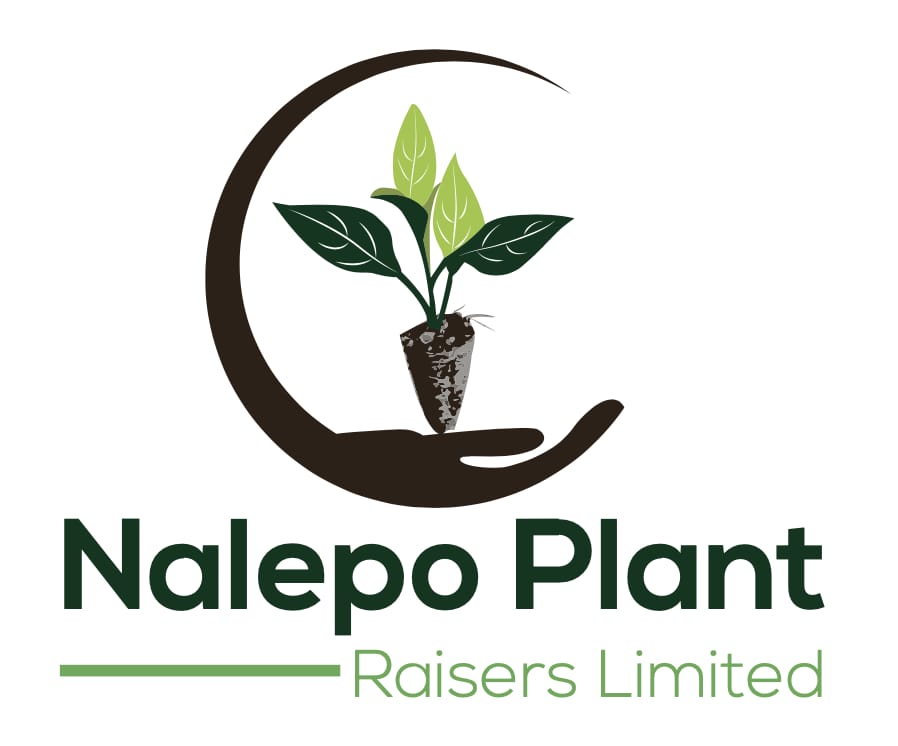 Nalepo Plant Raisers — BiasharaWatch client